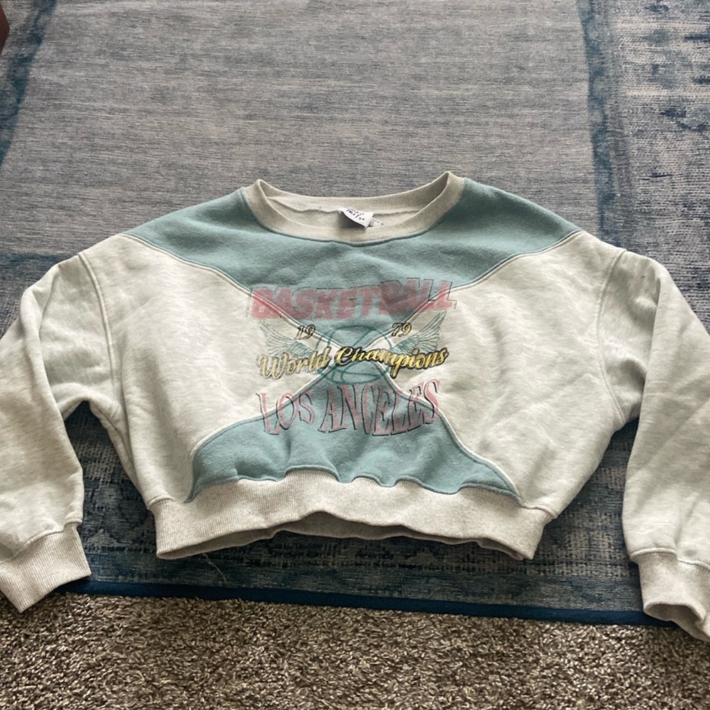 cropped world champions basketball sweatshirt